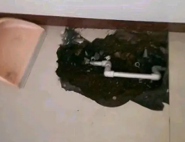 宣恩卫生间测漏水多少钱